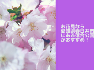 愛知県春日井市の落合公園はお花見もできて家族で楽しめる【写真あり】