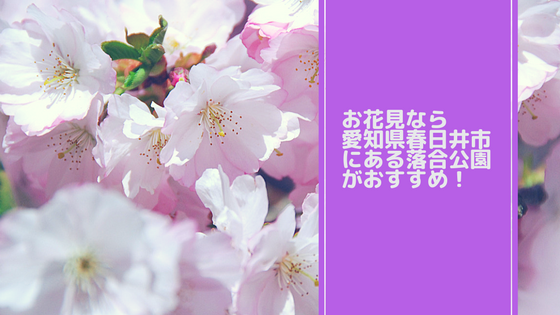 愛知県春日井市の落合公園はお花見もできて家族で楽しめる【写真あり】