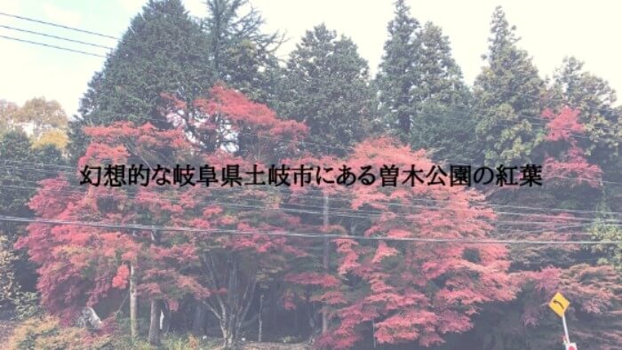 岐阜県土岐市にある曽木公園の紅葉は隠れたスポット